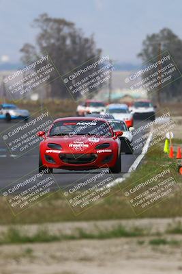 media/Mar-16-2025-CalClub SCCA (Sun) [[e72803ec8c]]/Group 2/Race (Turn 9)/
